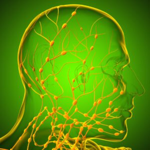 This image shows the human lymph node anatomy in the head and neck. The purpose of this image is to demonstrate where the lymph nodes are, that are possibly damaged, and causing lymphedema